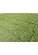 Philippine Grass Carpet / Karpet Rumput Filipina / 菲律宾草草皮 (1'*2' per Piece, 2 Square Feet / sqft)