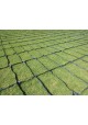 Japanese Grass Carpet / Karpet Rumput Jepun / 日本草草皮 (1'*2' per Piece, 2 Square Feet / sqft)