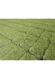 Grass Planting & Installation Service Philippine Grass Carpet / Karpet Rumput Filipina / 菲律宾草草皮 (1'*2' per Piece, 2 Square Feet)